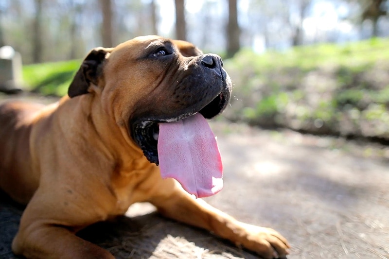 Video – Summer AC Check Up