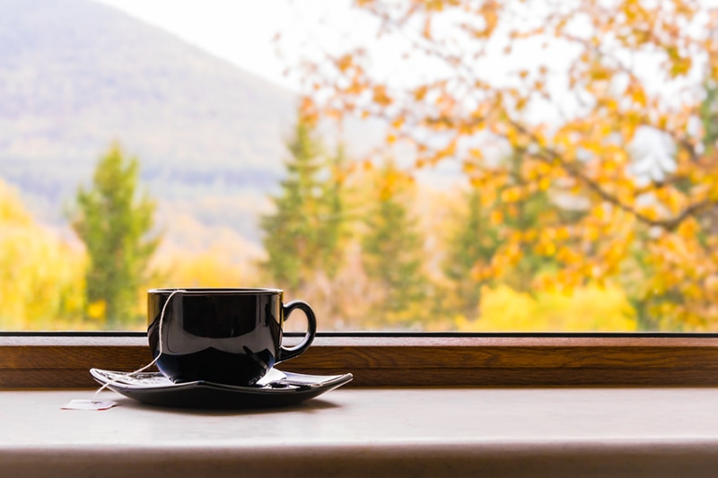 Why Do I Need a Humidifier in the Fall?