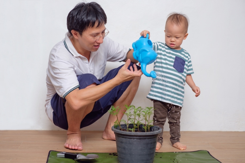 5 Ways to Improve Your Indoor Air Quality